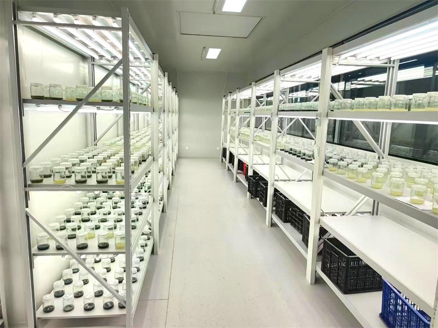 农科院人工气候室搭建：育种试验实用型建设落地方案