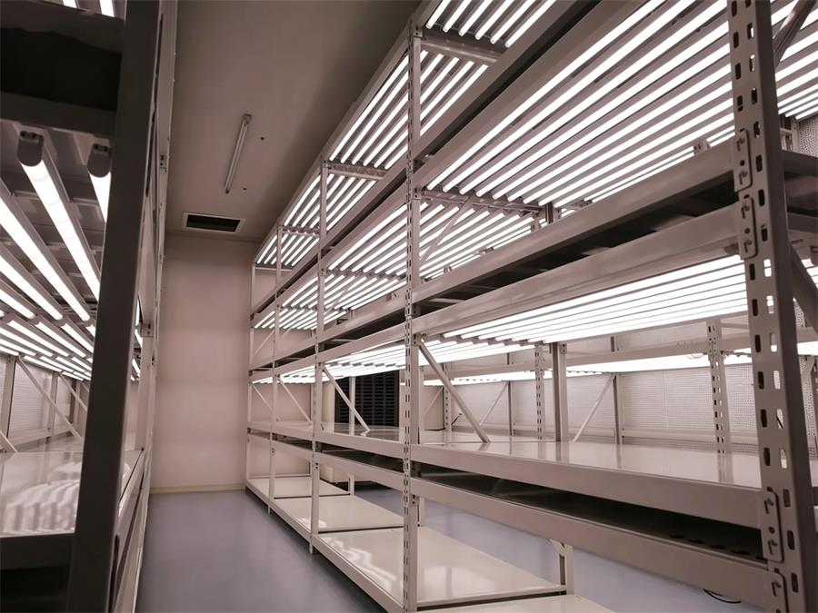 人工气候室全套建设流程，从场地勘测到验收落地详解