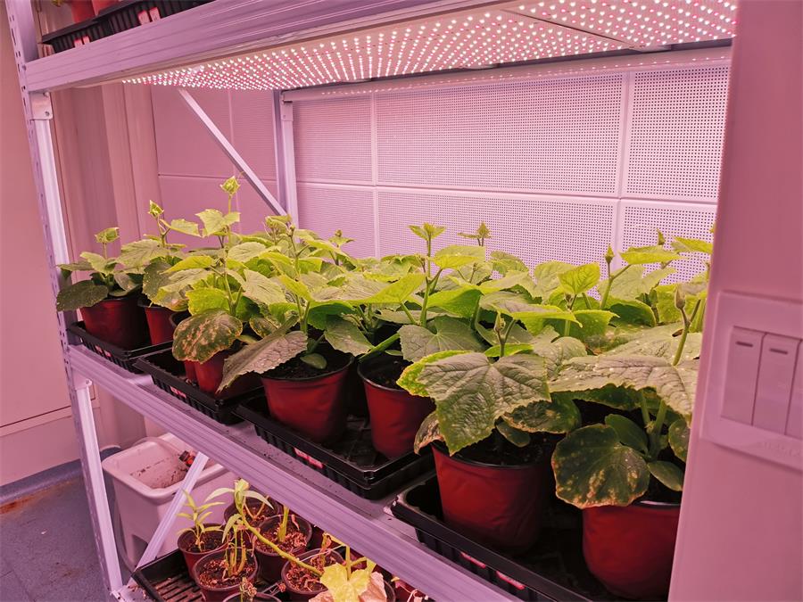 人工气候室密封做不好，冷桥能把空调累趴下——馨泽源施工经验分享