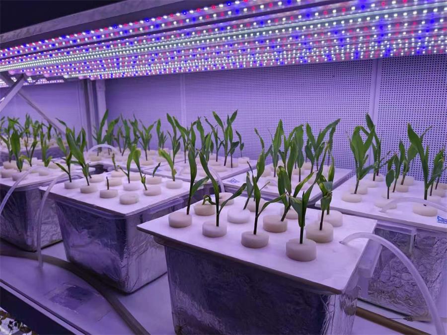 科研级高温人工气候室搭建，全要点干货一次梳理