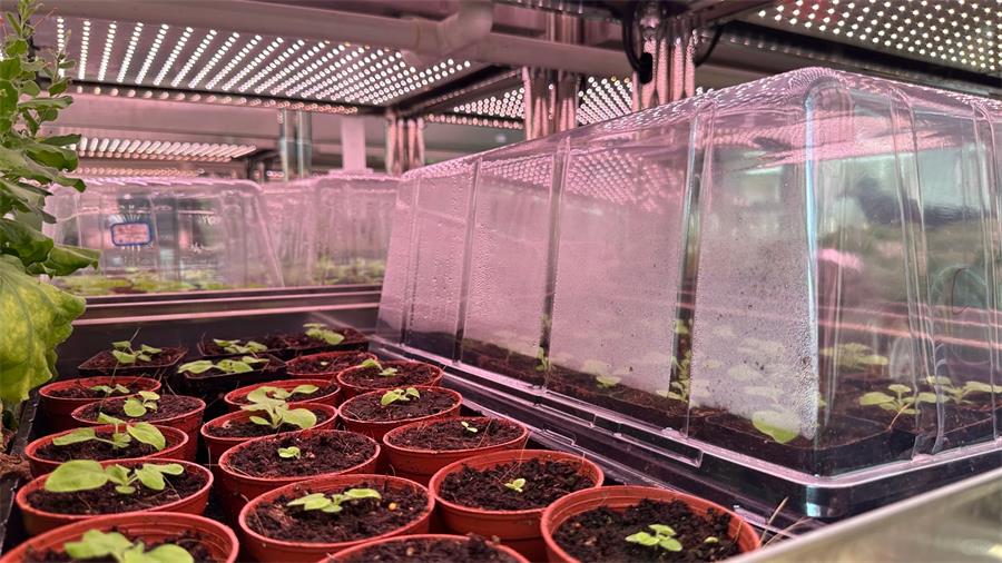 高校新建人工气候室选型，热负荷测算与节能方案匹配
