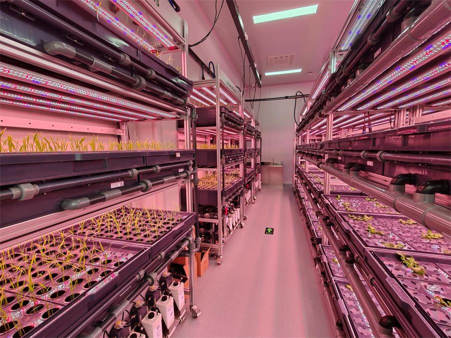 建一个200㎡人工气候室要花多少钱？从设备到施工的详细预算拆解