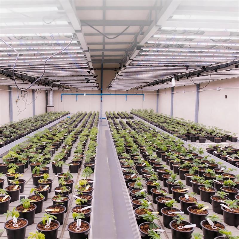 人工气候室一年电费几十万？冷桥阻断设计到底能省多少电？
