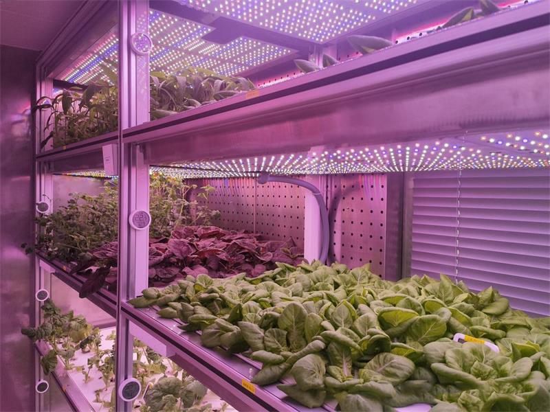 人工气候室停电 2 小时会发生什么？别等出事才做应急预案，馨泽源把应急预案摊开讲