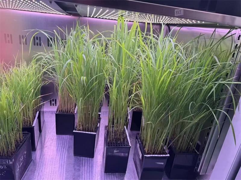 品牌不是第一位！人工气候室压缩机选型要看重工况参数，馨泽源教你人工气候室压缩机怎么选？