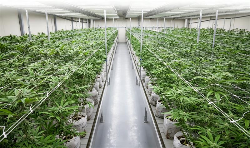 风机24小时不停转，凭什么说人工气候室是节能设计？馨泽源拆解人工气候室风机节能策略
