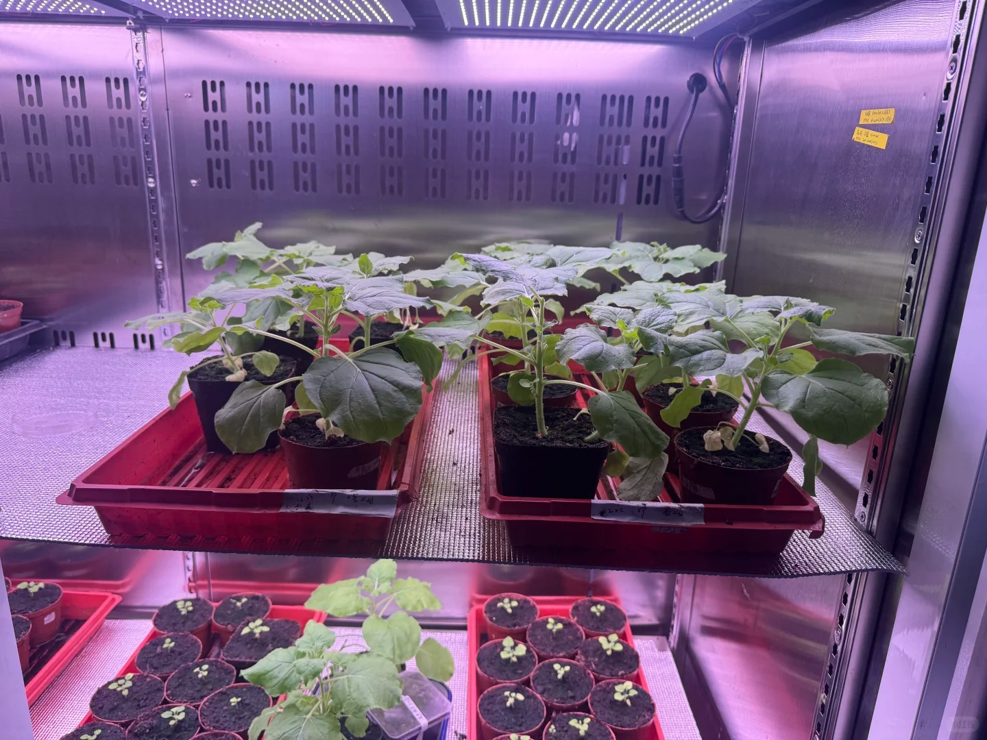 培养箱三种加湿方式该如何选型？电极式 / 超声波 / 蒸汽式加湿：培养箱加湿模块选型避坑指南