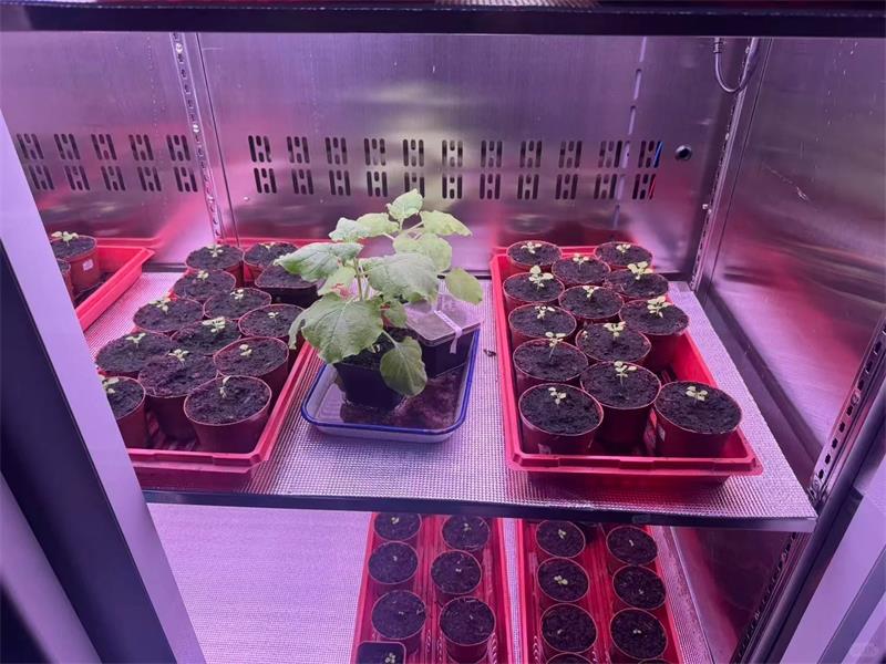 人工气候室控温逻辑，靠的是一个
