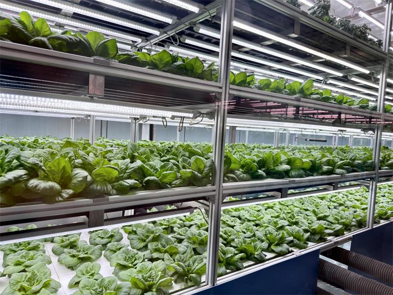 说句实话：人工气候室这行，最怕客户拿